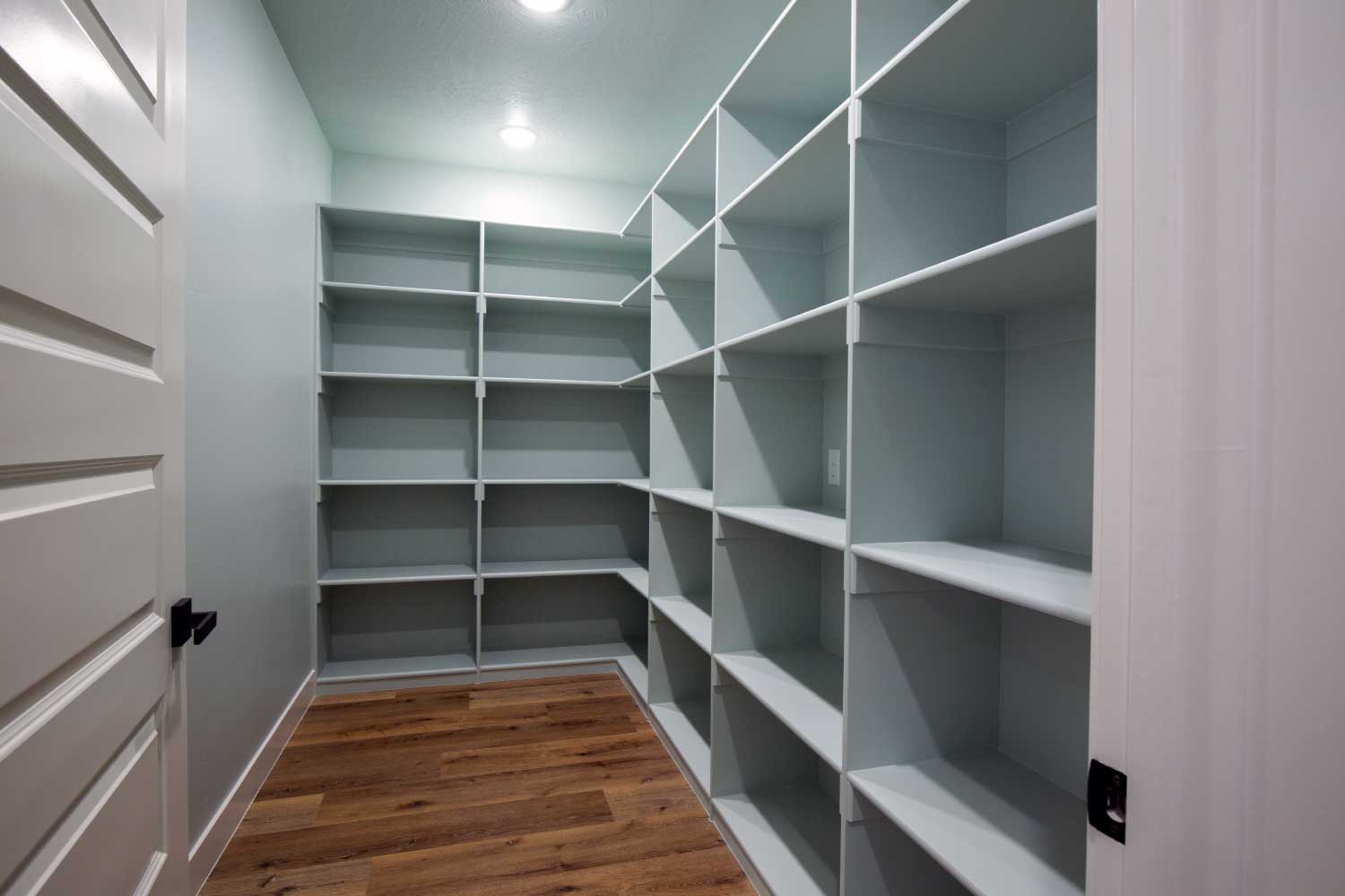Walk-in closet with built in shelves