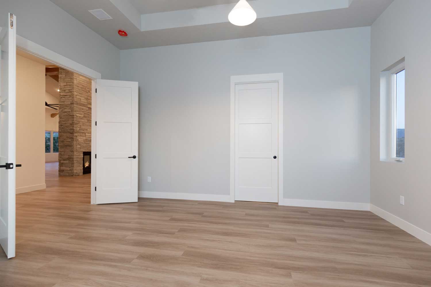 Bedroom featuring hardwood floors, light gray colored walls and tray ceiling