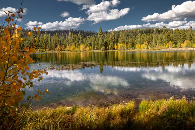 Lake surrounded by aspen trees. The lake surface is flat and reflecting the clouds and trees. 
