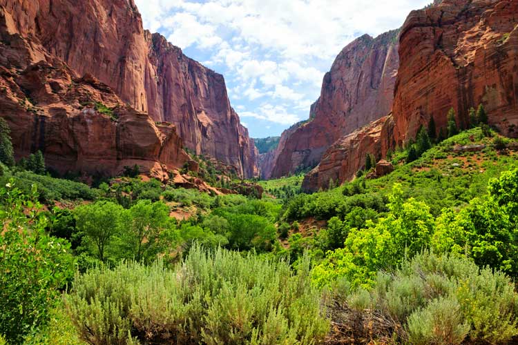 View through Kolob Canyon in Zion National Park with lush green meadow and red rock cliffs